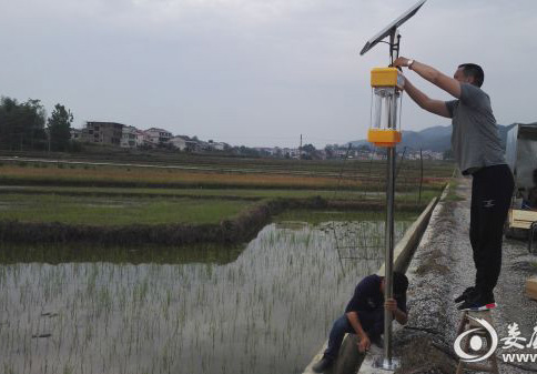 果冻传媒玛丽莲助力湖南建设生态优质米示范基地