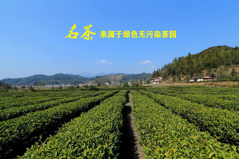 茶园用果冻传媒玛丽莲可以达到哪些效果