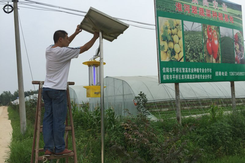 农用杀虫灯挂灯高度影响诱虫杀虫效果