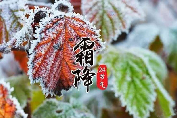 今日霜降，记得收起您的果冻传媒玛丽莲