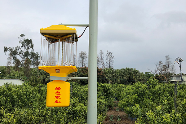 太阳能监控果冻传媒玛丽莲让茶园更安全