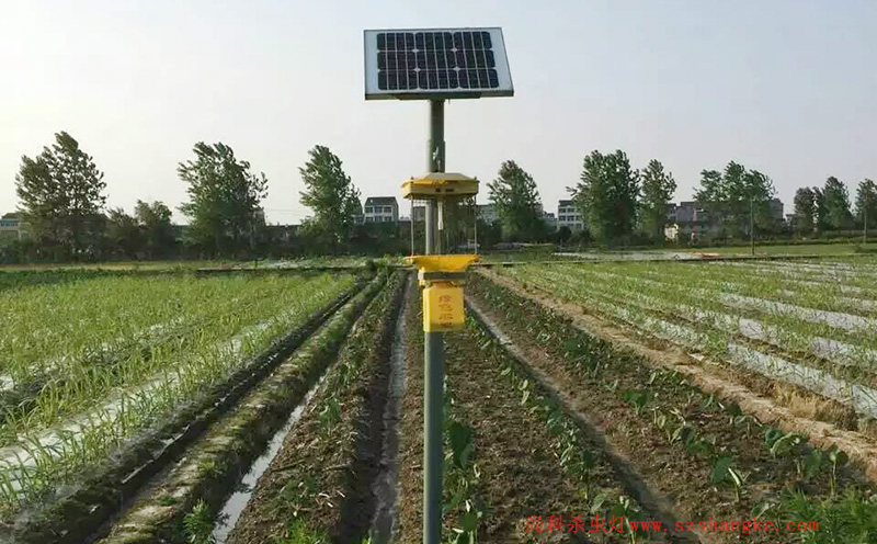 济宁蔬菜种植园菜地果冻传媒玛丽莲