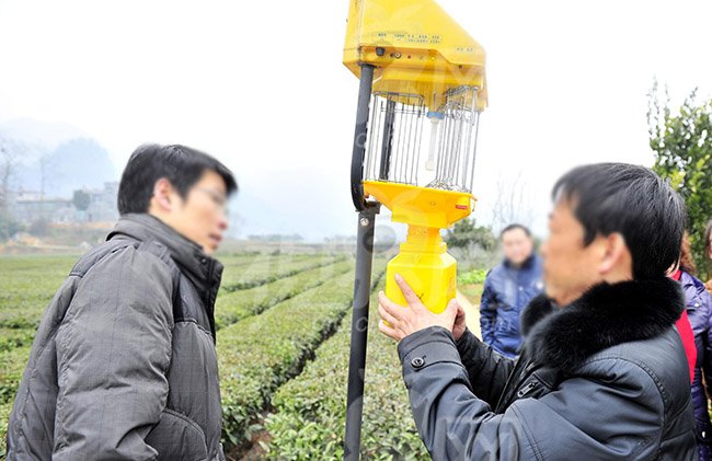 果冻传媒玛丽莲灯具安装攻略，注意事项大全，一定要看